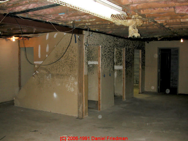 Mold on laundry room wall (C) Daniel Friedman