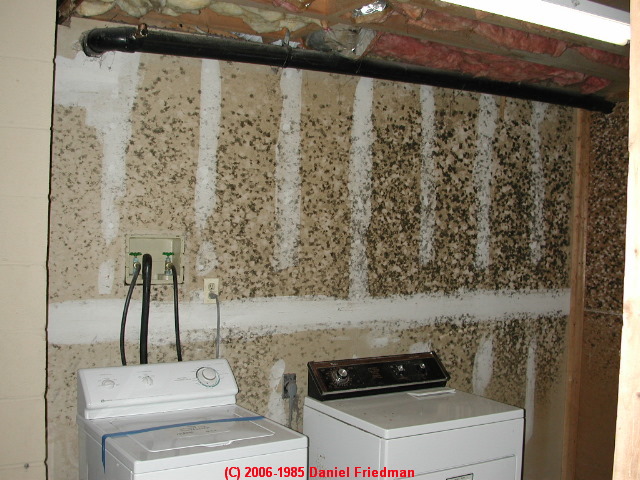 Mold on basement laundry room wall - Daniel Friedman 04-11-01