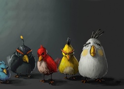 Angry birds, Ptaki