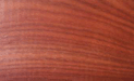 Bloodwood