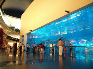 Dubai_Aquarium_04