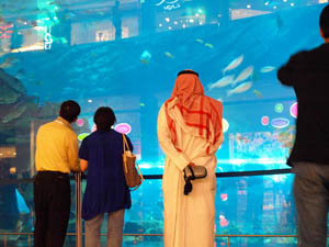 Dubai_Aquarium_05