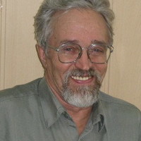 Vladimir A. Usoltsev