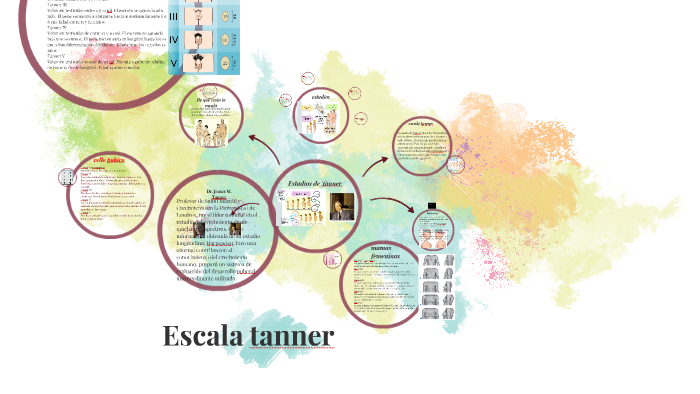 Escala De Tanner