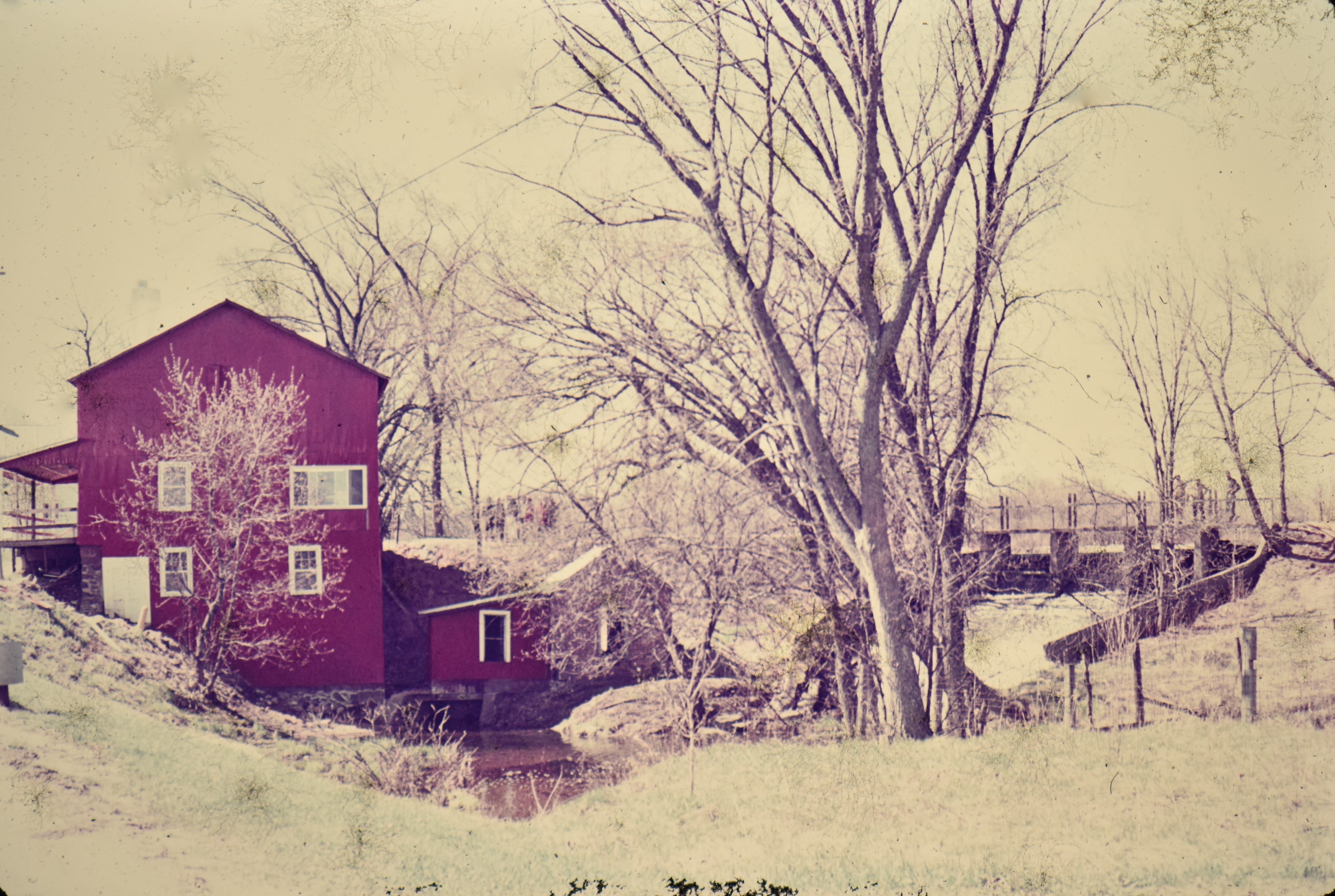 Pieces of Wild Rose, WI Area Genealogy and My Own: Wild Rose Mill