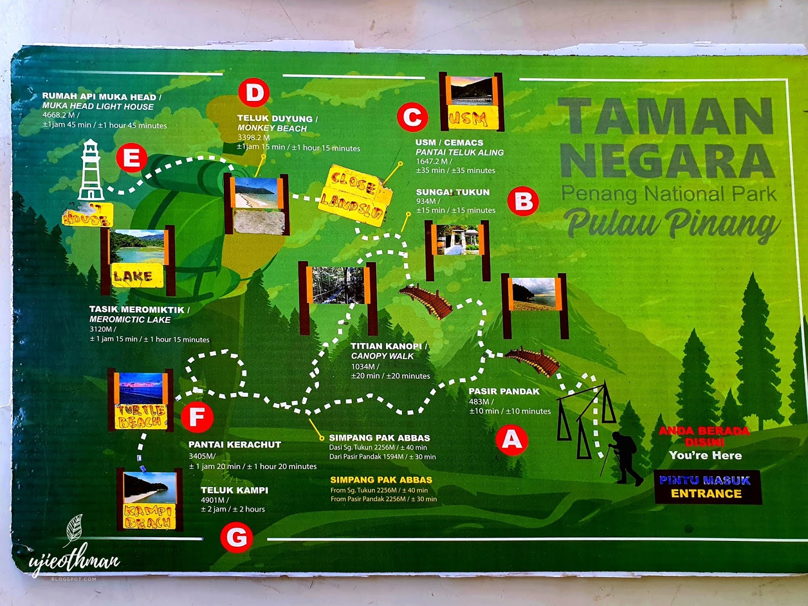 Peta Taman Negara Pulau Pinang - IMAGESEE