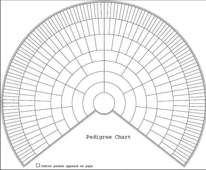 Free Printable Genealogy Fan Chart Template - Printable Templates