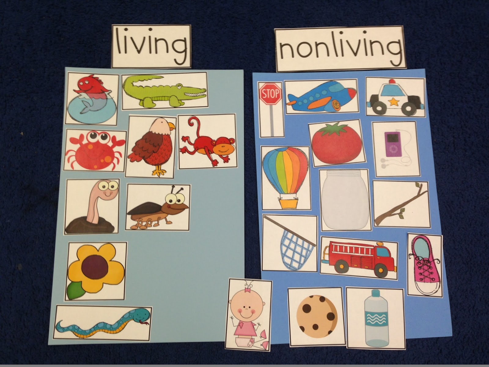 Living And Non Living Kindergarten