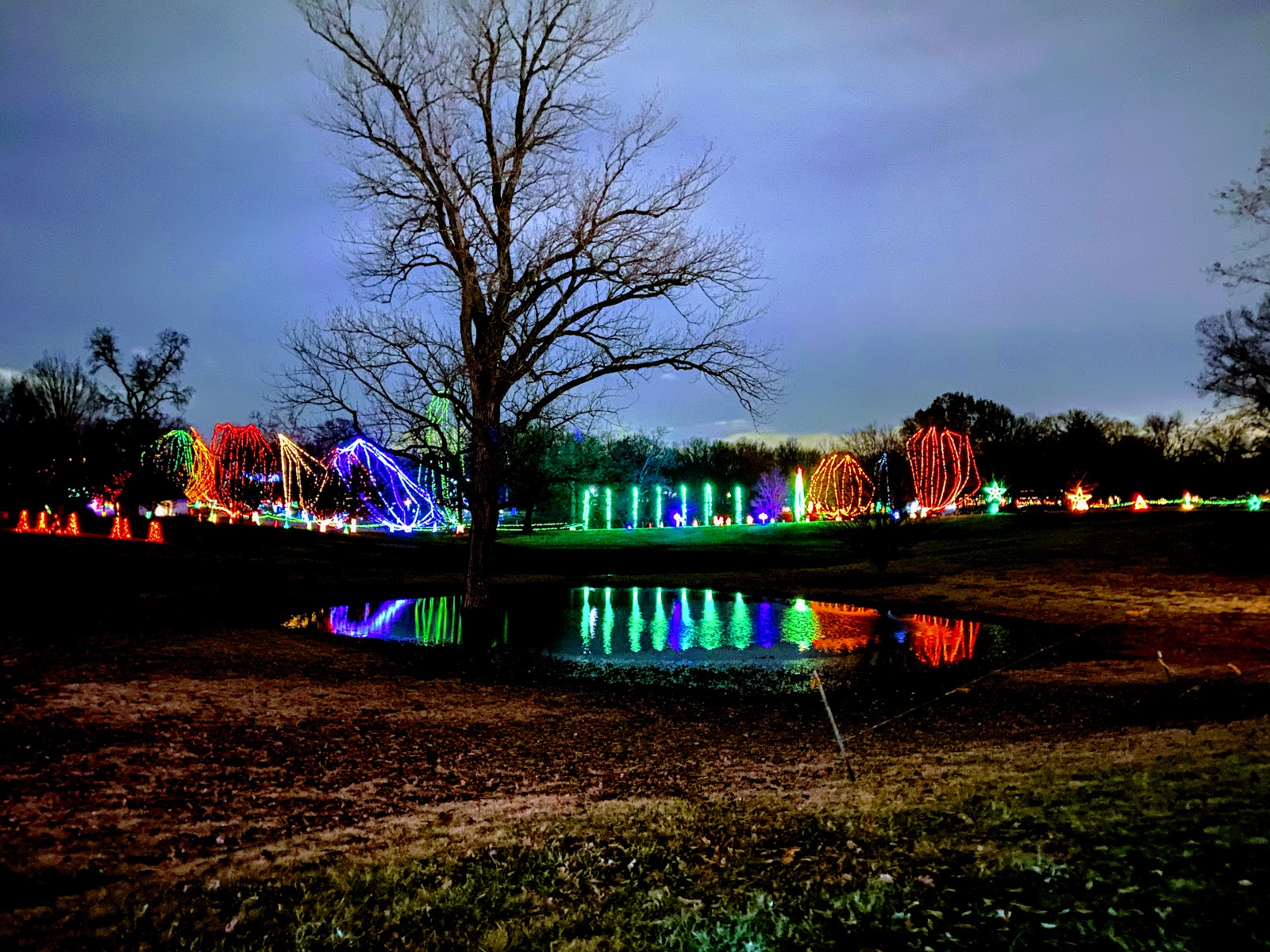 John Milito's Amazing Adventures Christmas Lights at Tilles Park