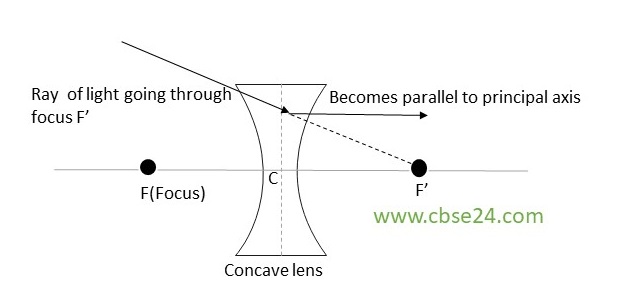 Rules for obtaining images formed by concave lenses | cbse24