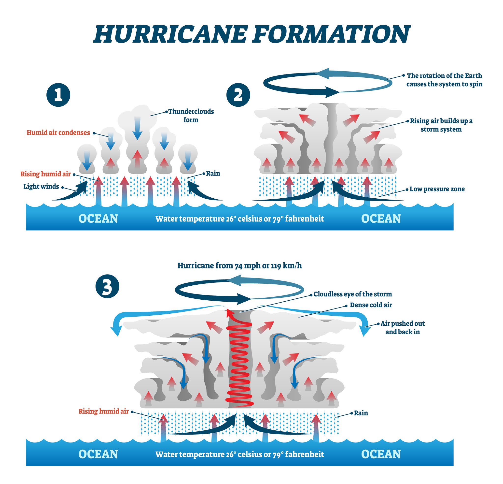 How Hurricanes Form | MooMooMath and Science