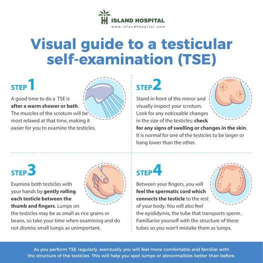 National Cancer Society of Malaysia, Penang Branch: Visual Guide To A ...