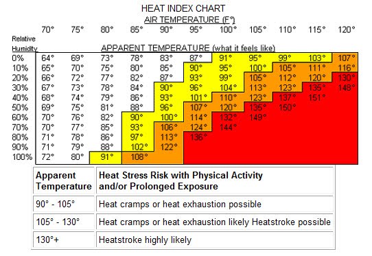 RunnerDude's Blog: 10 Tips for Summer Running!