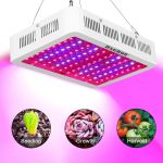 H&Grow 1000W Triple Chips  LED Grow Light Review