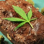 How to Make Pot Brownies: Weed Brownie Recipe