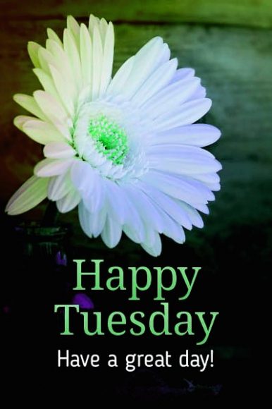 ᐅTop143+ Happy Tuesday Images, Pictures, Photos, GIFs