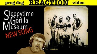 "Salamander in Two Worlds" New Sleepytime Gorilla Museum! (reaction ep. 849)