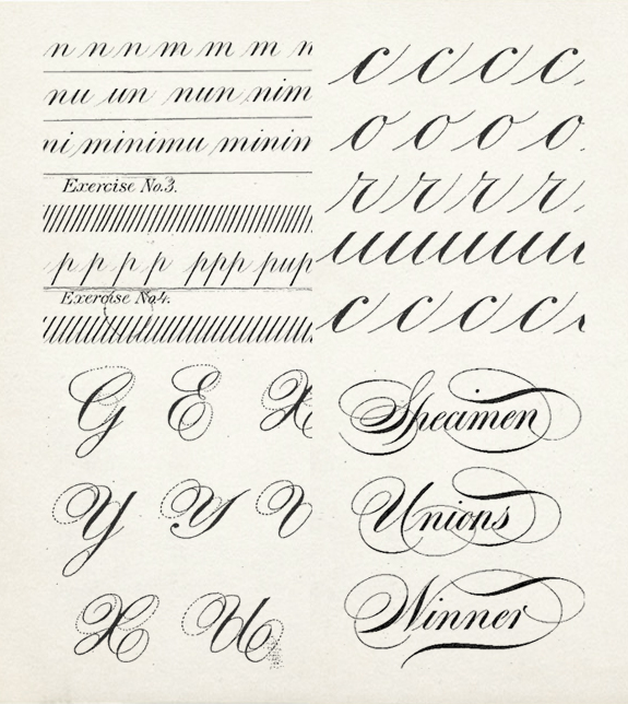 Featured image of post Calligraphy Alphabets