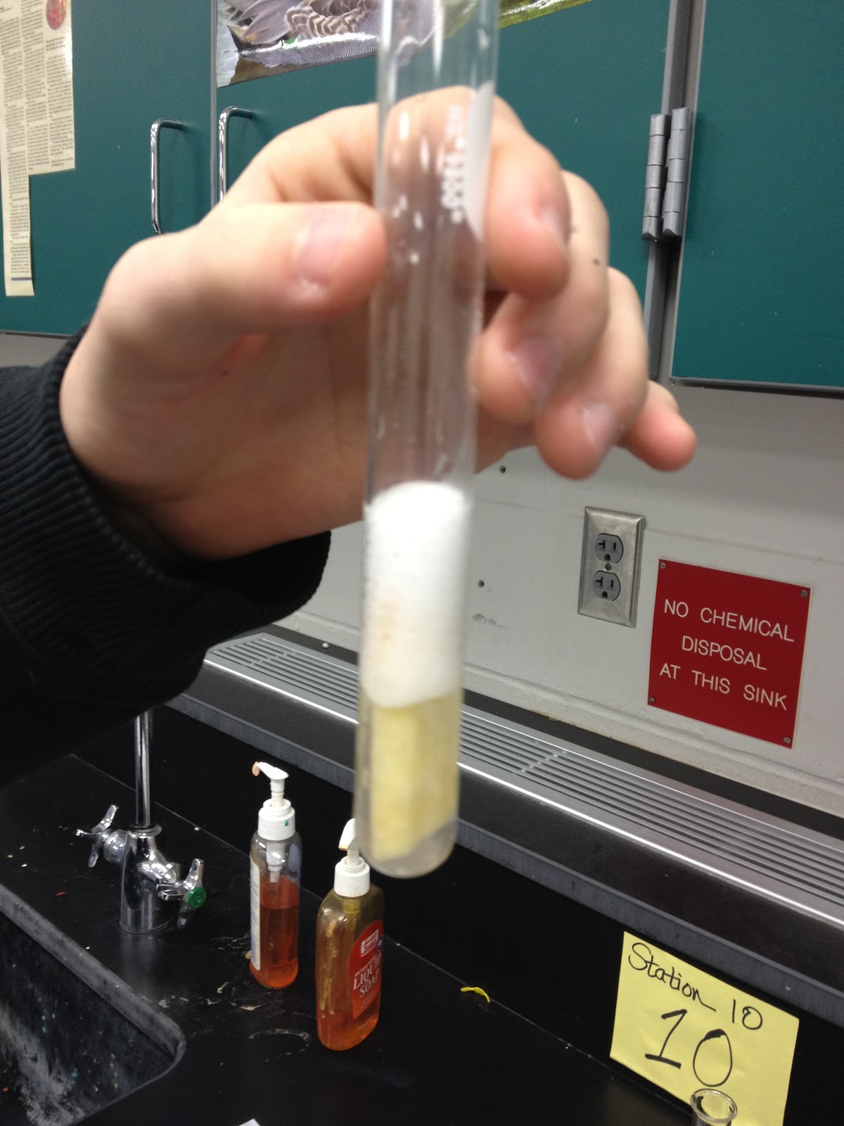 Maryanne's Science Class Ideas: Enzyme Activity Lab