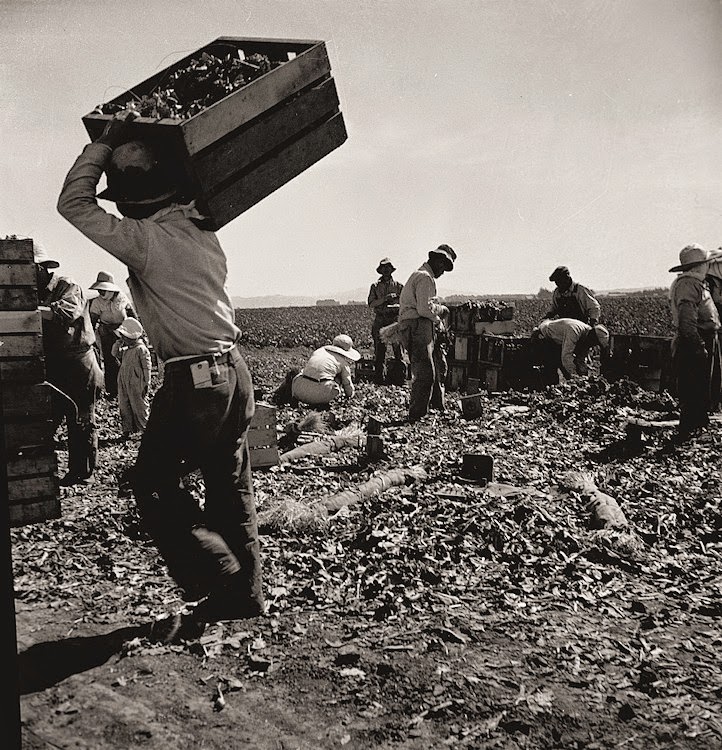 dust bowl great depression dorothe lange