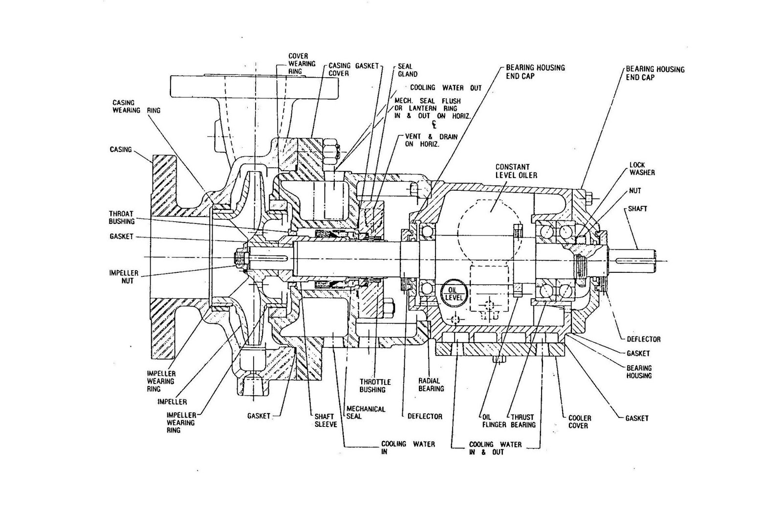 Centrifugal Pump Parts Labeled