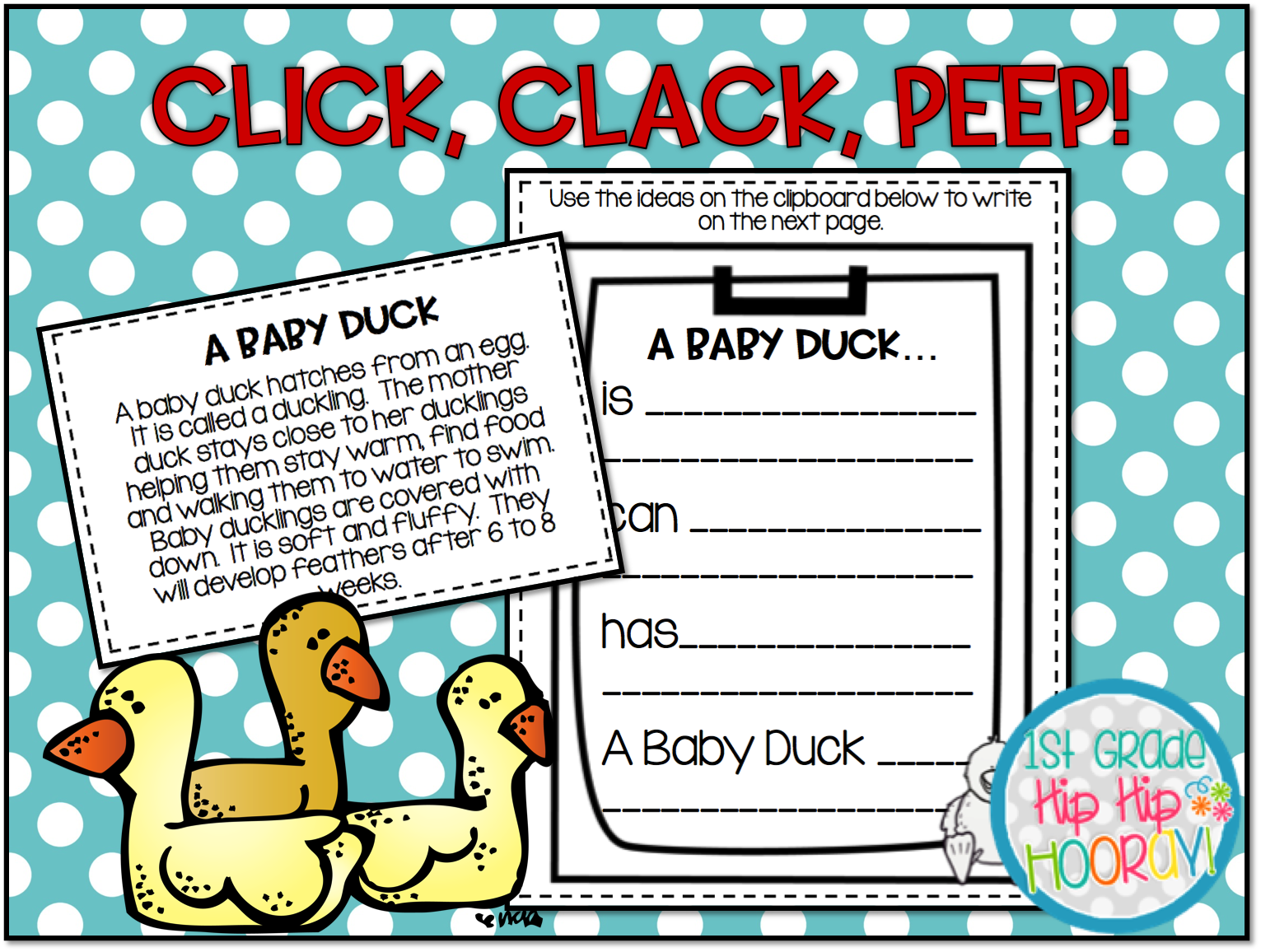 1st Grade Hip Hip Hooray!: Click, Clack Peep!!