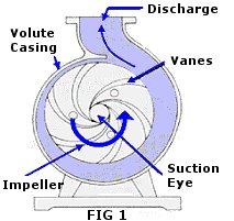 Draw the centrifugal pump diagram and show the impeller and fluid flow ...