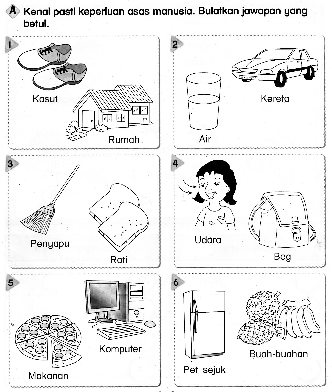 Lembaran Kerja Sains Prasekolah Benda Hidup Lembaran Kerja Benda My ...