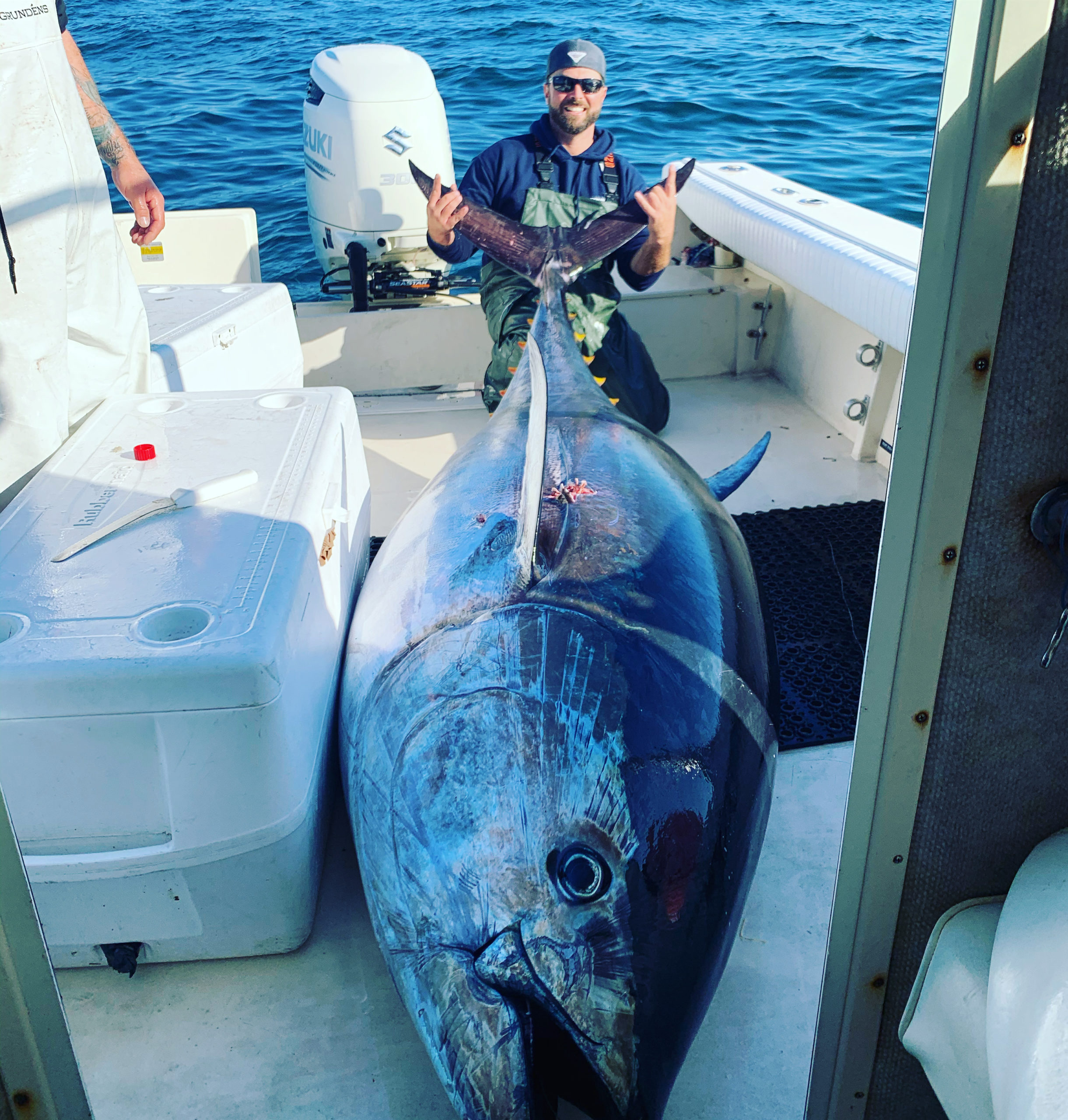 Giant Bluefin Tuna