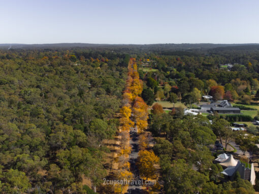 mount macedon honour avenue day trip from melbourne autumn