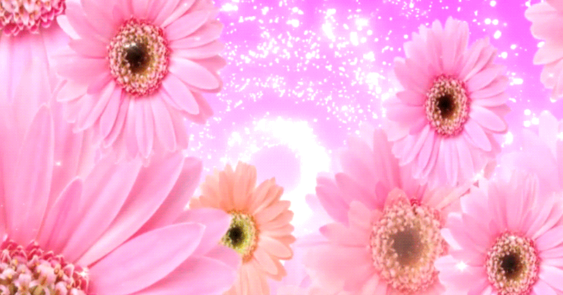 Decent Image Scraps: Flower Animation