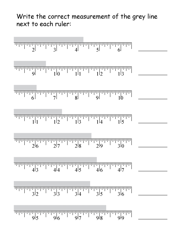 Fractions On A Ruler Worksheet