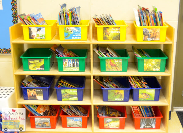 A Place Called Kindergarten: nonfiction book bin labels