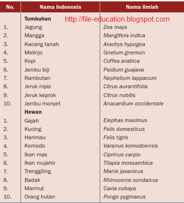 10 Nama Ilmiah Hewan Dan Tumbuhan - Homecare24