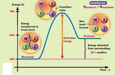 is breaking bonds exothermic