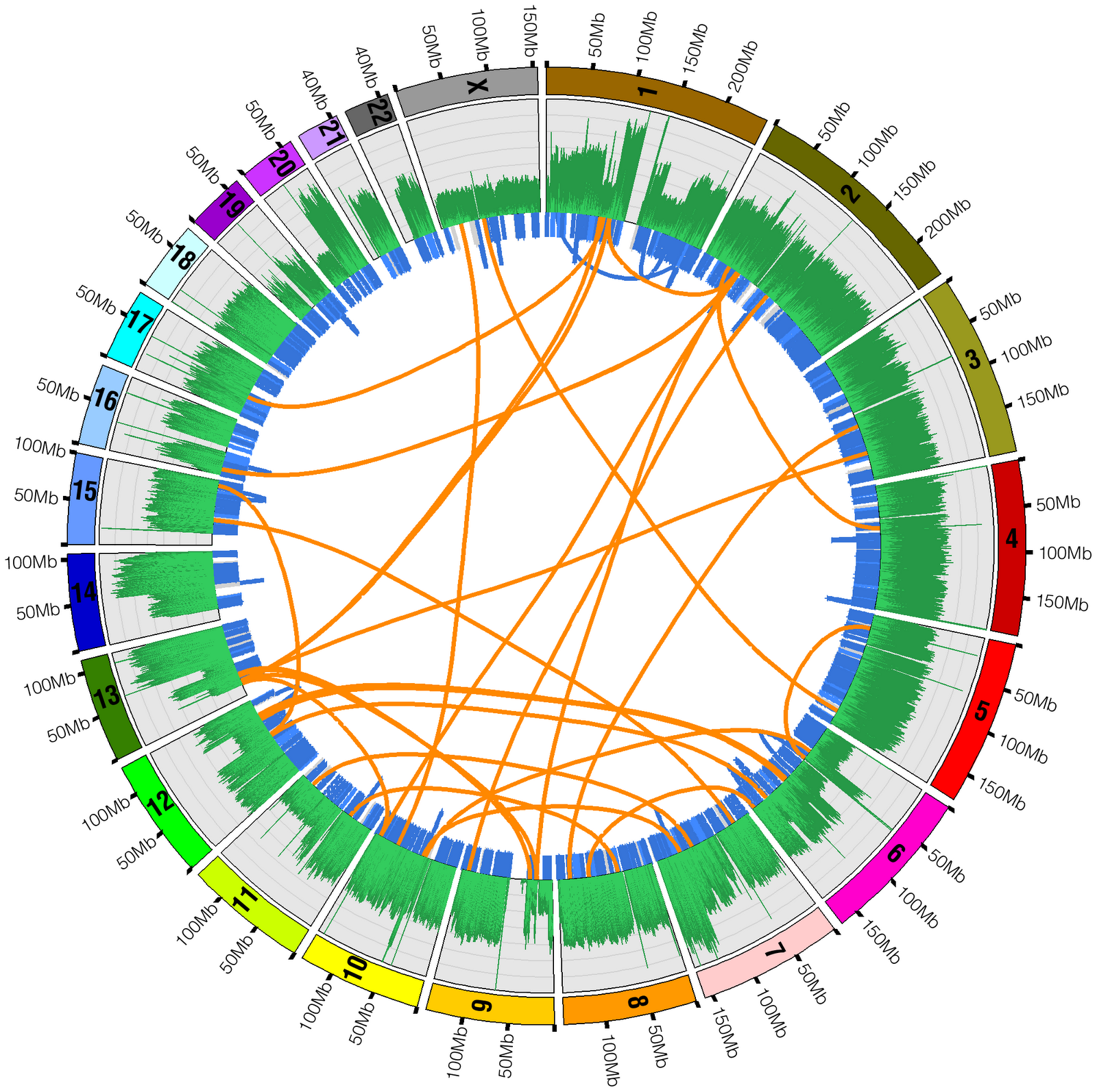 Sequencing the human genome