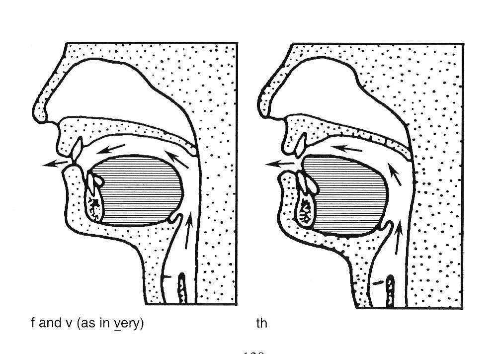 Coping with Stuttering: How Speech Sounds Are Formed