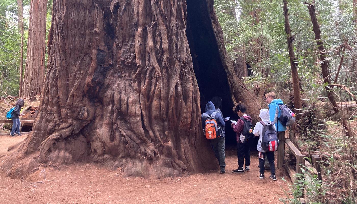 Olson Elementary School students participate in outdoor science camp at Mt. Herman.