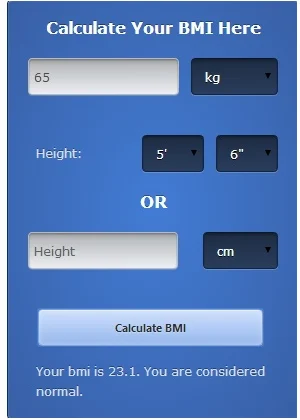 BMI Calculator App in Lajpat Nagar , Noida , TechPerspect | ID: 7837344248