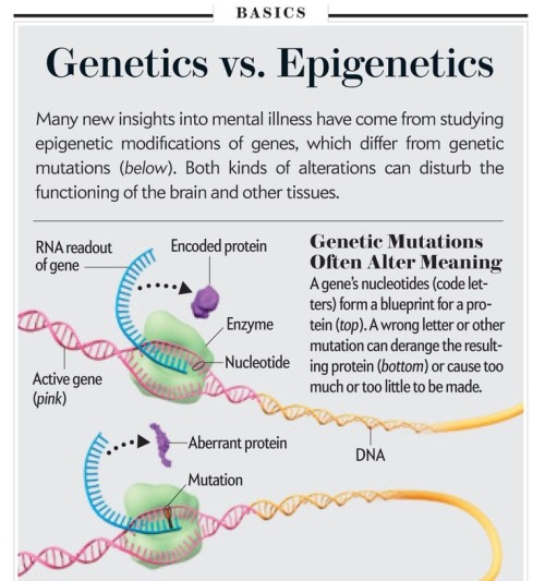 Fuck Yeah, Science: Genetics vs. Epigenetics