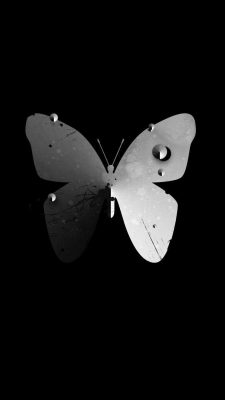 Android Wallpaper Butterfly High Resolution 1080X1920