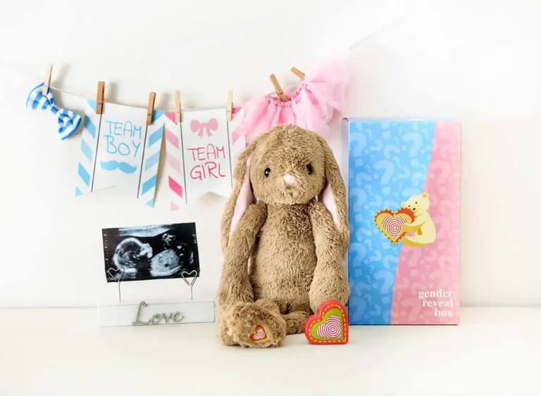 heartbeat bear keepsakes with 3D ultrasound photo packages