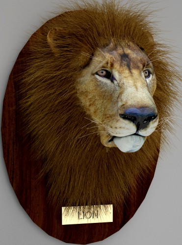 Lion head