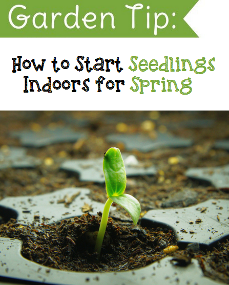 How to Start Seedlings Indoors for Spring #Organic_Gardening - My ...