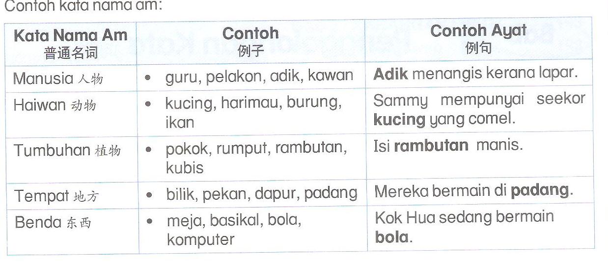 Contoh Ayat Kata Nama Am Bagi Haiwan Kata Nama Boleh Dibahagikan | The ...