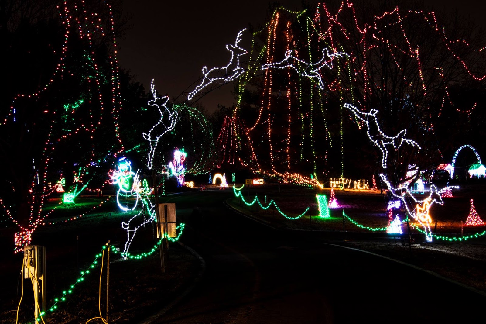 Play St. Louis Winter Wonderland at Tilles Park, Ladue