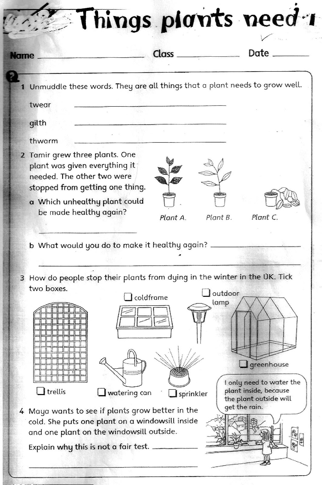 Free 3rd Grade Science Worksheets