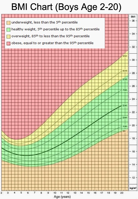 The Green Serviette: Body Mass Index - Calculate Yours!