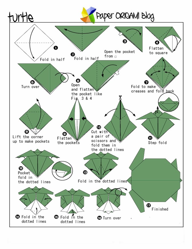 Origami Turtle Directions