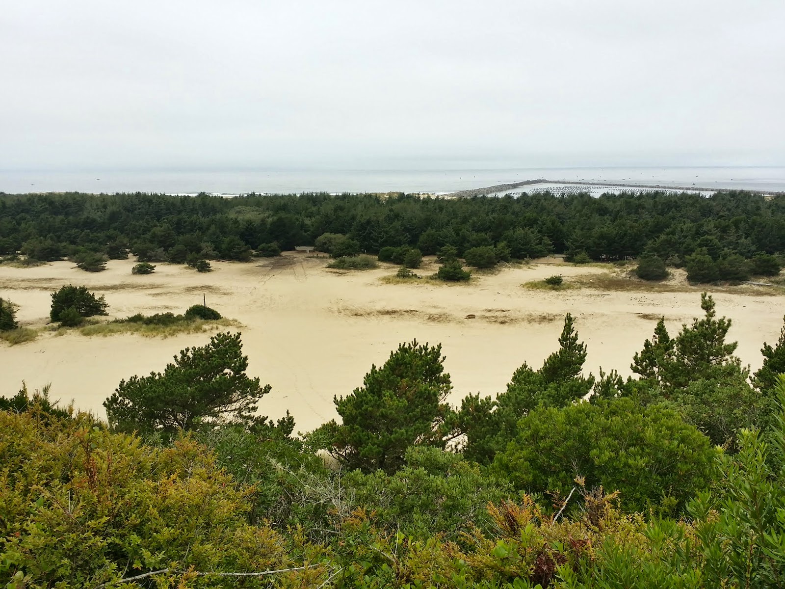 Oregon Dunes